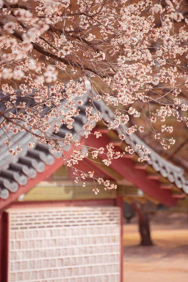 Seoul